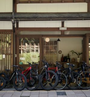 0135-bikerent-shop-allbikes (1)